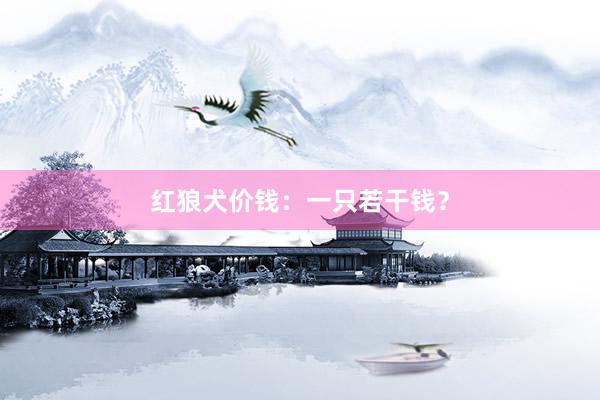 红狼犬价钱：一只若干钱？